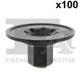 nakretka-11-70012-100-fischer