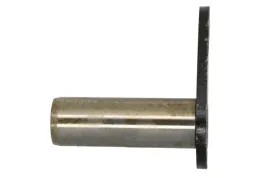sworzen-ramienia-1149395-cva
