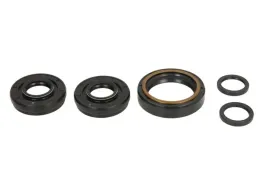 zestaw-naprawczy-mechanizmu-roznicowego-ab25-2100-5