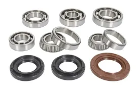 zestaw-naprawczy-mechanizmu-roznicowego-ab25-2109