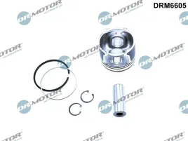 tlok-drm6605-dcm-dr-motor