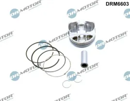 tlok-drm6603-dcm-dr-motor