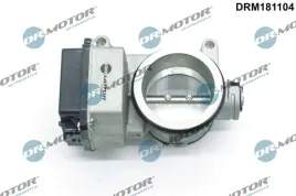 przepustnica-elektroniczna-drm181104-dcm