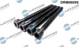 zest-srub-mocowania-wtrysku-4-szt-drm0609s-dcm