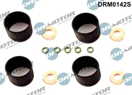 zest-montazowy-wtryskiwacza-drm0142s-dcm