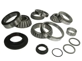 zestaw-naprawczy-mechanizmu-roznicowego-60171241