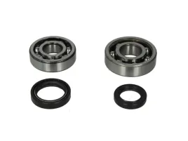 lozysko-walu-korbowego-p400210444006