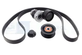 zestaw-paska-wieloklinowego-117203336r-oem