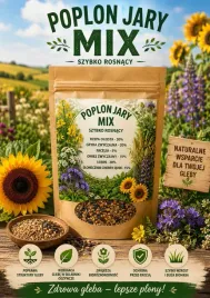 poplon-szybkorosnac-jary-mix-1kg-rzepa-gryka-facelia-owies-lubin-slonecznik