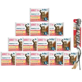 perfect-fit-adult-wolowina-kurczak-w-sosie-13x-4x-85g-wedka