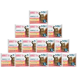perfect-fit-adult-wolowina-kurczak-w-sosie-52x-85g