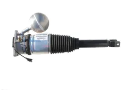 amortyzator-tyl-prawy-vw-phaeton-3d0616002n