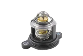 termostat-ford-ca6g8575db