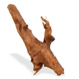 korzen-na-sztuki-do-akwarium-rozmiar-m-mangrove-root-indonesian