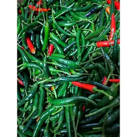 swieze-papryczki-chilli-500g