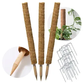 palik-kokosowy-45-cm-podpora-do-roslin-tyczka-3-szt-zestaw