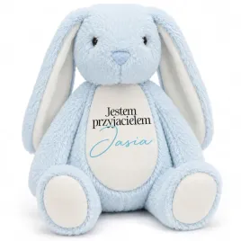 prezent-dla-chlopca-dzien-dziecka-krolik-pluszak-jestem-przyjacielem-imie