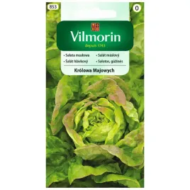 salata-maslowa-krolowa-majowych-nasiona-1g-vilmorin