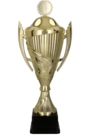 puchar-zloty-z-przykrywka-27cmtrofeum-na-turniej-zawody-tabliczka-gratis