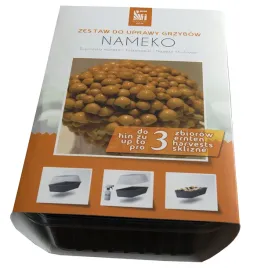 zestaw-do-uprawy-nameko-3l-luskwiak-grzybnia-miniszklarenka