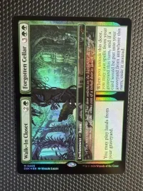 karta-magic-the-gathering-walk-in-closet-forgotten-cellar-foil-dsk-205