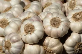 polski-czosnek-jesienny-kazachstanski-z-ekologicznej-uprawy-250g-plenny