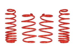 zestaw-zawieszenia-sprezyny-obnizajace-cobra-07-8167-c