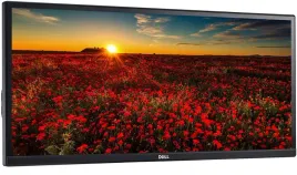 monitor-dell-ultrasharp-u2913wm-29-led-2560x1080-hdmi-brak-podstawki
