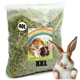 siano-karma-pokarm-lucerna-ziola-witaminy-dla-krolika-swinki-morskiej-xxl