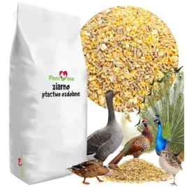 naturalna-karma-pasza-ziarno-kruszona-drobna-dla-kaczek-gesi-przepiorki-paw