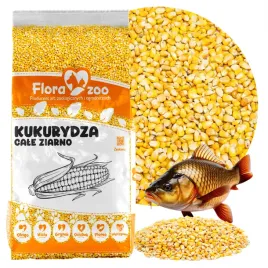 kukurydza-cale-ziarno-karma-zaneta-przyneta-wedkarska-na-ryby-karp-leszcz