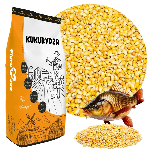 KUKURYDZA CAŁE ZIARNO KARMA ZANĘTA PRZYNĘTA WĘDKARSKA NA RYBY KARP LESZCZ