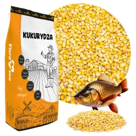 kukurydza-cale-ziarno-karma-zaneta-przyneta-wedkarska-na-ryby-karp-leszcz