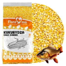 kukurydza-cale-ziarno-karma-zaneta-przyneta-wedkarska-na-ryby-karp-leszcz