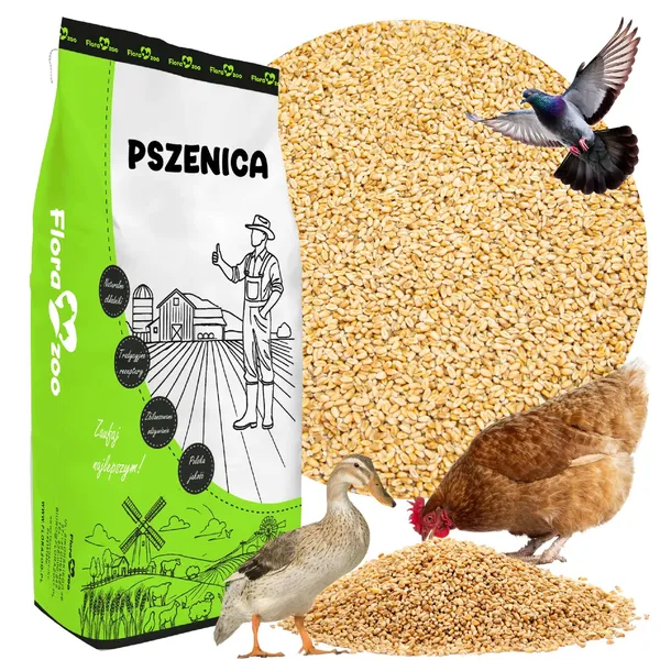 PSZENICA PASZA KARMA ZIARNO DLA DROBIU KUR KACZEK GĘSI PTAKÓW GOŁĘBI