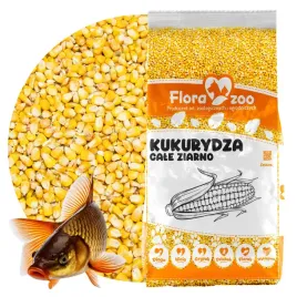 kukurydza-cale-ziarno-karma-zaneta-przyneta-wedkarska-na-ryby-karp-leszcz