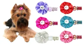spinka-kokardka-gumka-mucha-dla-psa-yorka-shih-tzu
