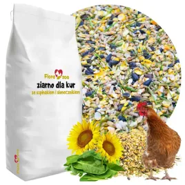 naturalna-pasza-ze-szpinak-slonecznik-karma-ziarno-witaminy-dla-kur-niosek
