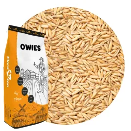 owies-ziarno-pasza-karma-drobna-dla-golebi-koz-owiec-koni