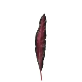lisc-75-dark-red-fiore