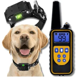 elektryczna-obroza-dla-psa-treningowa-800m-pilot-dla-malego-i-duzego-psa