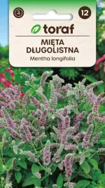 mieta-dlugolistna-nasiona-ziol-01g-toraf