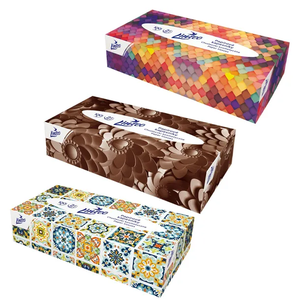 Linteo Satin Chusteczki Higieniczne w Kartoniku 100 szt 2-Warstwowe