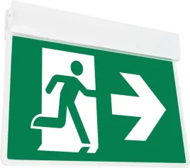 oprawa-awaryjna-exilon-led-emergency-3h-45w-cw-gxno075-greenlux