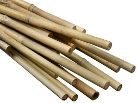 tyczki-bambusowe-60-cm-10-szt-podpory-do-roslin-kwiatow-naturalne-z-bambusa