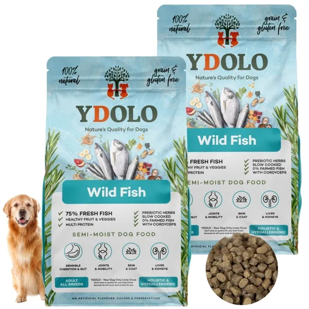 YDOLO Wild Fish ryby morskie półwilgotna bezzbożowa karma dla psa 2x 2,5 kg