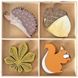 kolorowe-ksztalty-z-drewna-dekoracyjne-scrapbooking-dpcraft-16-szt-las