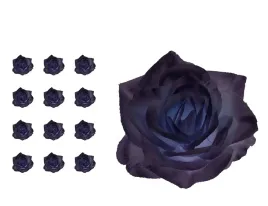 roza-scarlet-glowka-czarna-12-sztuk