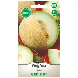 melon-gediz-f1-10-nasion-wegana