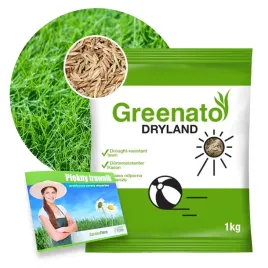 trawa-odporna-na-susze-trawnik-tereny-suche-gleby-nasiona-2kg